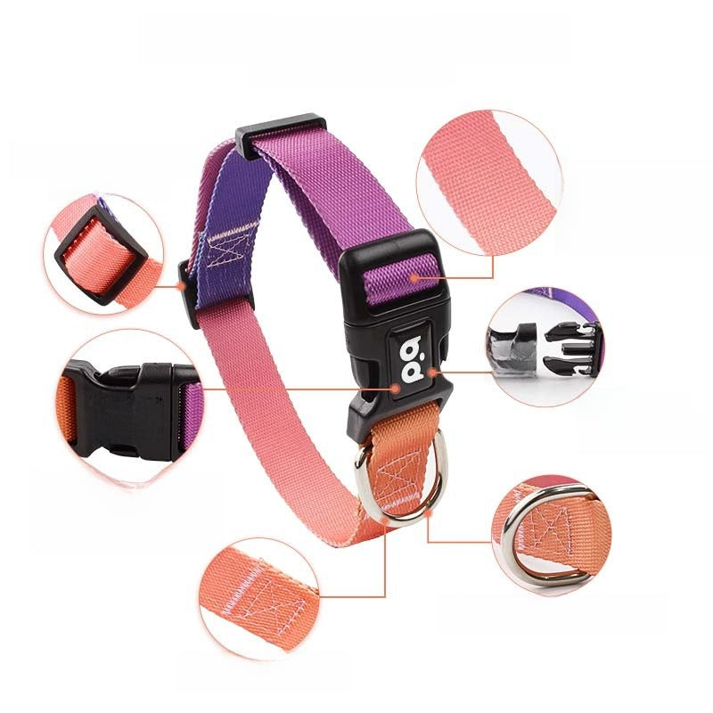 Pet Dog Collar Chest and Back Leash