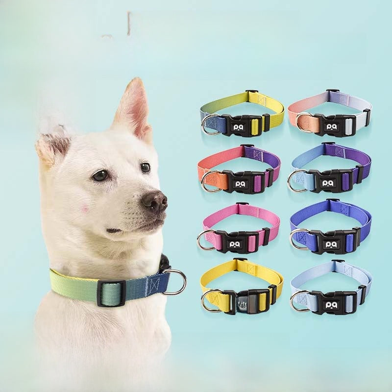 Pet Dog Collar Chest and Back Leash